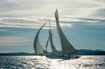 Nioulargue © Philip Plisson / Plisson La Trinité / AA00160 - Photo Galleries - Traditional sailing