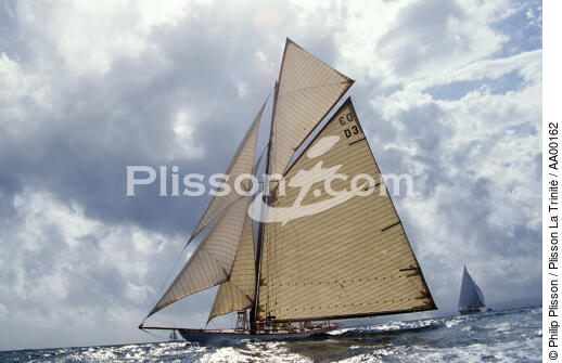 Tuiga à la Nioulargue . - © Philip Plisson / Plisson La Trinité / AA00162 - Photo Galleries - Sailing boat