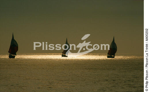 Tour de France à la voile. - © Philip Plisson / Plisson La Trinité / AA00202 - Photo Galleries - Sailing boat