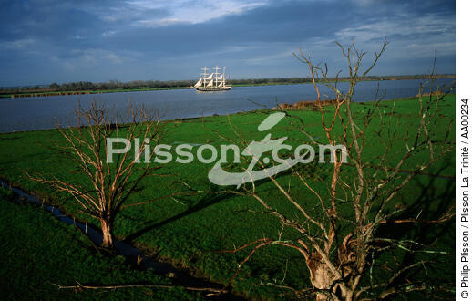 Le Belem sur la Loire. - © Philip Plisson / Plisson La Trinité / AA00234 - Nos reportages photos - Loire [la]