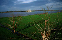 Le Belem sur la Loire. © Philip Plisson / Plisson La Trinité / AA00234 - Nos reportages photos - Grand voilier