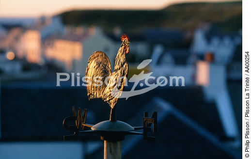 Girouette représentant un coq (Ecosse), - © Philip Plisson / Plisson La Trinité / AA00254 - Nos reportages photos - Horizontal