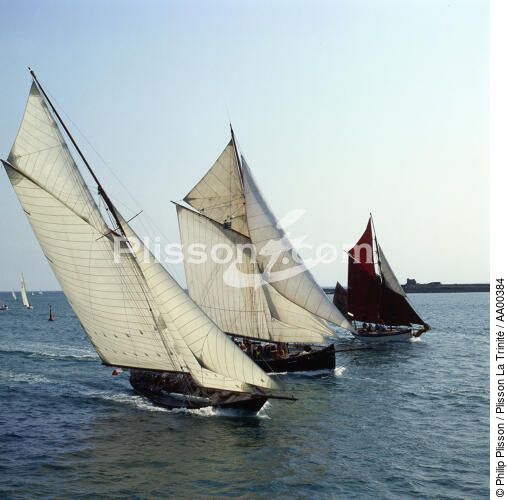 Pen Duick I pendant la fête des Vieux Gréements à la Trinité sur mer. - © Philip Plisson / Plisson La Trinité / AA00384 - Photo Galleries - Yachting