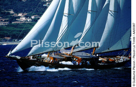 Créole aux Voiles de St Tropez - © Guillaume Plisson / Plisson La Trinité / AA00387 - Photo Galleries - Sailing boat