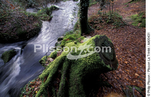 Cascade dans la forêt de Huelgoat. - © Philip Plisson / Plisson La Trinité / AA00431 - Nos reportages photos - Finistère