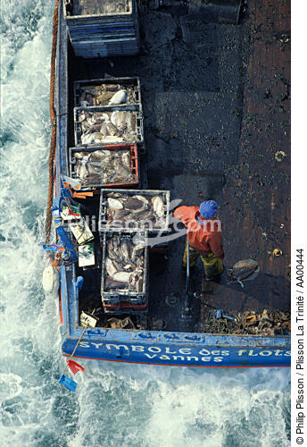 Pecheur de morgates . - © Philip Plisson / Plisson La Trinité / AA00444 - Nos reportages photos - Bateau de pêche