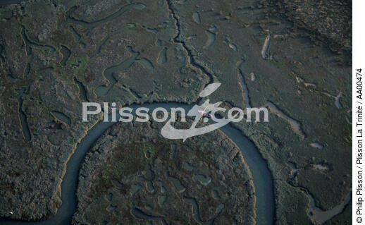 Canot dans les méandres du Léty. - © Philip Plisson / Plisson La Trinité / AA00474 - Nos reportages photos - Letty [Le]