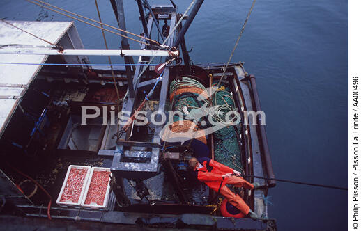 Dans le port de Collieston en Ecosse. - © Philip Plisson / Plisson La Trinité / AA00496 - Nos reportages photos - Bateau de pêche