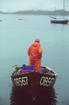 Pêcheur dans sa plate. © Philip Plisson / Plisson La Trinité / AA00498 - Nos reportages photos - Mer calme