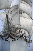 Statsraad Lehmkuhl. © Philip Plisson / Plisson La Trinité / AA00501 - Photo Galleries - Sailing boat