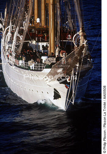 Proue de l'Esmeralda. - © Philip Plisson / Plisson La Trinité / AA00508 - Nos reportages photos - Les Grands voiliers