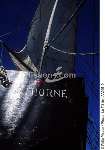 THorne, l'annexe du HMS Rose. - © Philip Plisson / Plisson La Trinité / AA00510 - Nos reportages photos - Terme marin