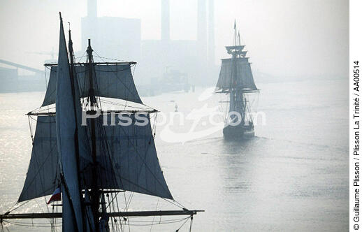 Le HMS Rose pendant l'Armada. - © Guillaume Plisson / Plisson La Trinité / AA00514 - Nos reportages photos - Environnement