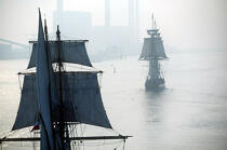 Le HMS Rose pendant l'Armada. © Guillaume Plisson / Plisson La Trinité / AA00514 - Photo Galleries - Tall ships