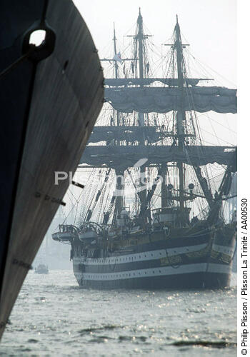Amerigo Vespucci. - © Philip Plisson / Plisson La Trinité / AA00530 - Nos reportages photos - Les Grands voiliers