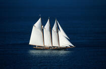 Le Shenandoah © Guillaume Plisson / Plisson La Trinité / AA00312 - Photo Galleries - Three-masted schooner