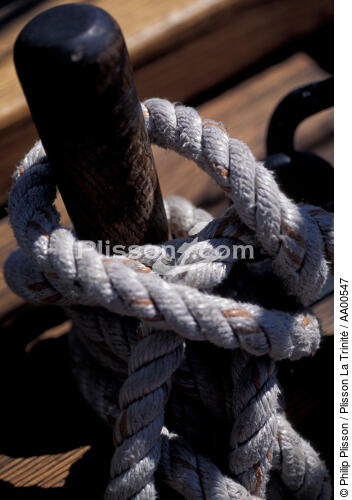 Noeud marin sur le HMS Rose. - © Philip Plisson / Plisson La Trinité / AA00547 - Photo Galleries - Rope