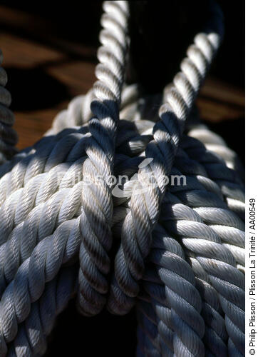 Noeud marin sur le HMS Rose. - © Philip Plisson / Plisson La Trinité / AA00549 - Photo Galleries - Ropes and rigging