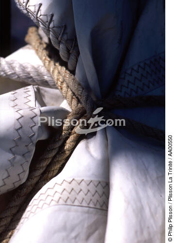 Noeud marin sur le HMS Rose. - © Philip Plisson / Plisson La Trinité / AA00550 - Photo Galleries - Rope