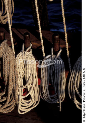 Cordages sur le HMS Rose. - © Philip Plisson / Plisson La Trinité / AA00553 - Nos reportages photos - HMS Rose