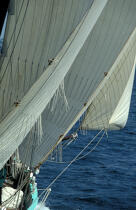Voiles de la Granvillaise. © Philip Plisson / Plisson La Trinité / AA00579 - Photo Galleries - Traditional sailing