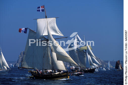 The Renard at the Tas de Pois. - © Philip Plisson / Plisson La Trinité / AA00587 - Photo Galleries - Traditional sailing