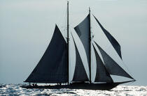 Goélette en contre-jour. © Philip Plisson / Plisson La Trinité / AA00590 - Photo Galleries - Traditional sailing