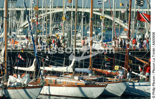 Bateaux à quai décorés de pavois pour la fête du 15 août (La Trinité sur mer). - © Philip Plisson / Plisson La Trinité / AA00608 - Nos reportages photos - Morbihan