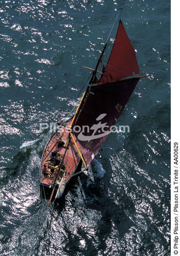 Vue aérienne sur un pilote de Bristol. - © Philip Plisson / Plisson La Trinité / AA00629 - Photo Galleries - Sailing boat