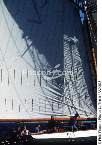 La Marie Fernand. - © Philip Plisson / Plisson La Trinité / AA00635 - Photo Galleries - Sailing boat