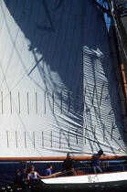 La Marie Fernand. © Philip Plisson / Plisson La Trinité / AA00635 - Photo Galleries - Sailing boat
