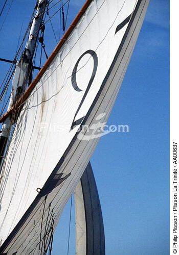 Gros plan sur les voiles de la Marie Fernand. - © Philip Plisson / Plisson La Trinité / AA00637 - Photo Galleries - Sailing boat