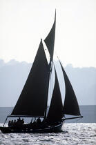 sloup coquiller en contre-jour. © Guillaume Plisson / Plisson La Trinité / AA00641 - Photo Galleries - Sailing boat