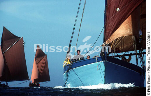 Sloups coquillers. - © Philip Plisson / Plisson La Trinité / AA00644 - Nos reportages photos - Elément d'un bateau