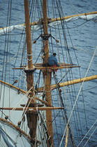 Equipier sur le mât de la Recouvrance. © Philip Plisson / Plisson La Trinité / AA00658 - Photo Galleries - Nautical terms