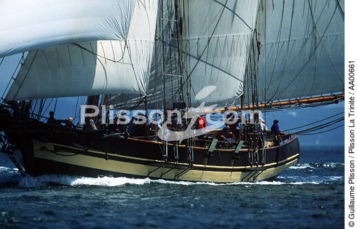 Pride of Baltimore. - © Guillaume Plisson / Plisson La Trinité / AA00661 - Photo Galleries - Iceland schooner with topsails