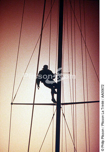Equipier dans la mâture d'un voilier. - © Philip Plisson / Plisson La Trinité / AA00672 - Nos reportages photos - Vue non aérienne