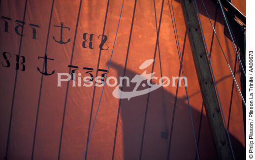 Jeu de lumière dans les voiles de la Pauline - © Philip Plisson / Plisson La Trinité / AA00673 - Photo Galleries - Nautical terms