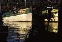 Bateau de pêche au mouillage dans le port de Paimpol. © Philip Plisson / Plisson La Trinité / AA00676 - Photo Galleries - Registration