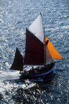Cotre palangrier : le Reder Mor. © Philip Plisson / Plisson La Trinité / AA00679 - Photo Galleries - Traditional sailing