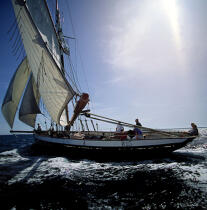 La Marie Fernand sous le soleil. © Philip Plisson / Plisson La Trinité / AA00696 - Photo Galleries - Sailing boat