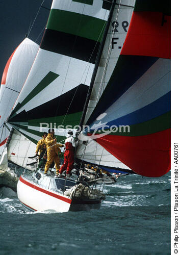Plan serré sur un voilier sous spi. - © Philip Plisson / Plisson La Trinité / AA00761 - Photo Galleries - Racing