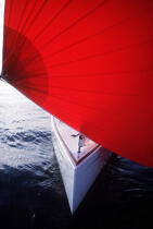 Celtina, monotype 7,50 m. © Philip Plisson / Plisson La Trinité / AA00780 - Photo Galleries - Traditional sailing