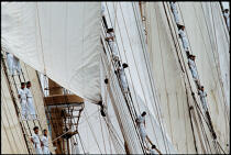 Equipage de l'Esmaralda dans la mâture. © Philip Plisson / Plisson La Trinité / AA00842 - Photo Galleries - Tall ship / Sailing ship