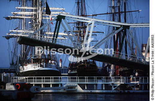 Grands voiliers au port pour l'Armada. - © Philip Plisson / Plisson La Trinité / AA00853 - Nos reportages photos - Rassemblement