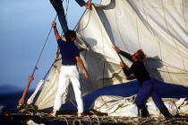 Equipage en train d'affaler un génois © Philip Plisson / Plisson La Trinité / AA00892 - Photo Galleries - Sails