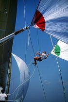 Numéro un en action © Philip Plisson / Plisson La Trinité / AA00898 - Photo Galleries - Sailing boat