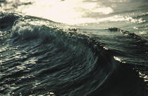 Une vague. © Philip Plisson / Plisson La Trinité / AA00917 - Nos reportages photos - Vue non aérienne