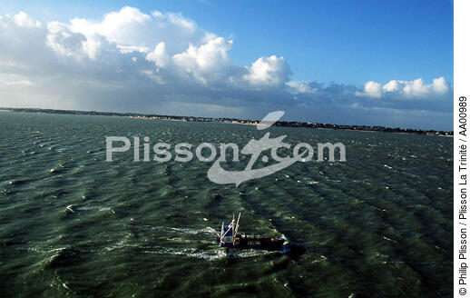 Ponton ostréicole sous le ciel bleu en Baie de Quiberon. - © Philip Plisson / Plisson La Trinité / AA00989 - Nos reportages photos - Activité maritime