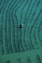 Ponton dans les parcs à moules. © Philip Plisson / Plisson La Trinité / AA01011 - Nos reportages photos - Vue aérienne